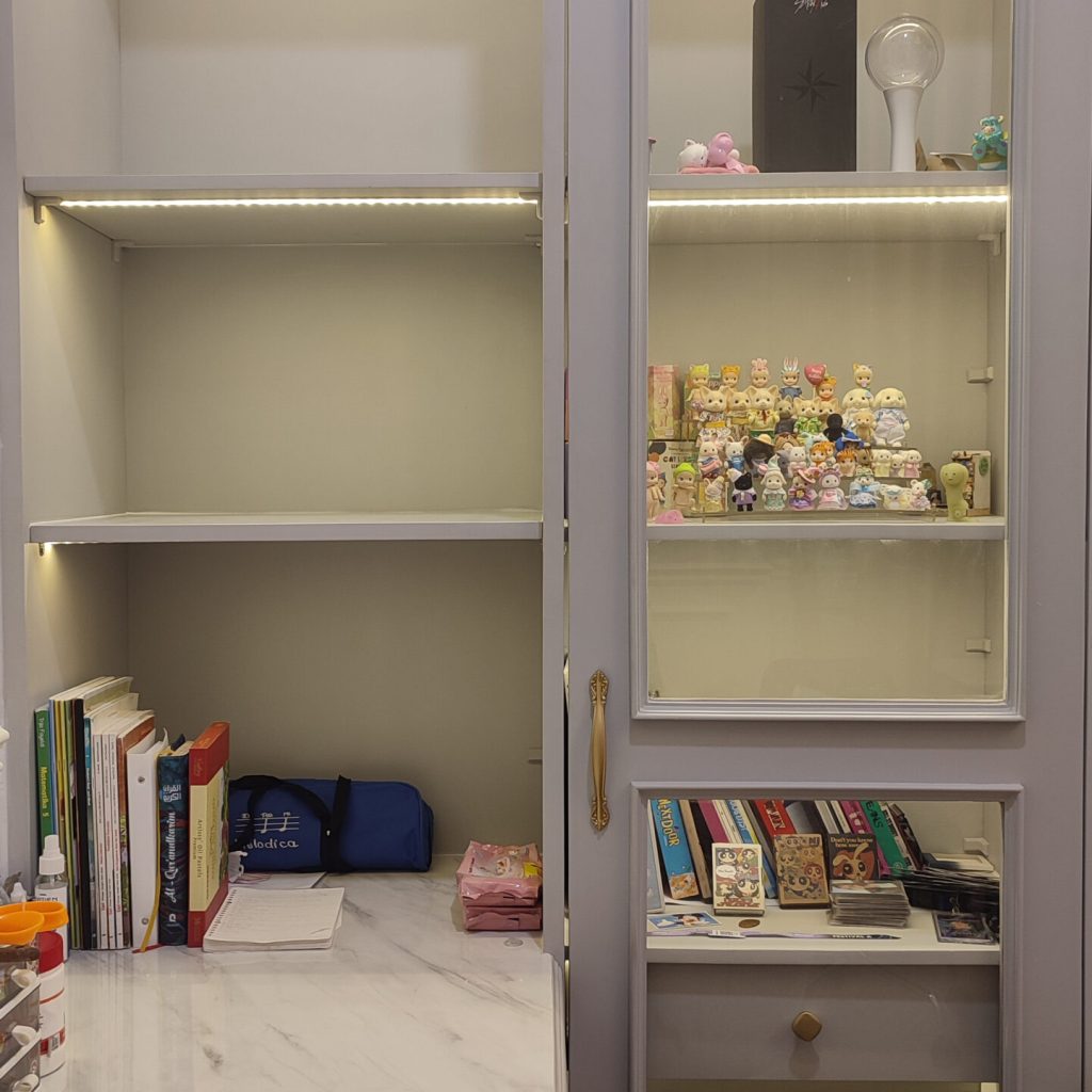 Study Area